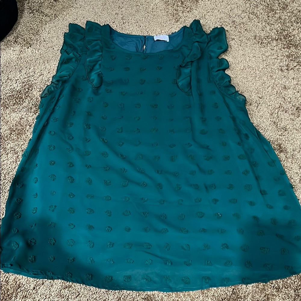 Boutique Ruffle Sleeve w/ Textired Embellishment Blouse